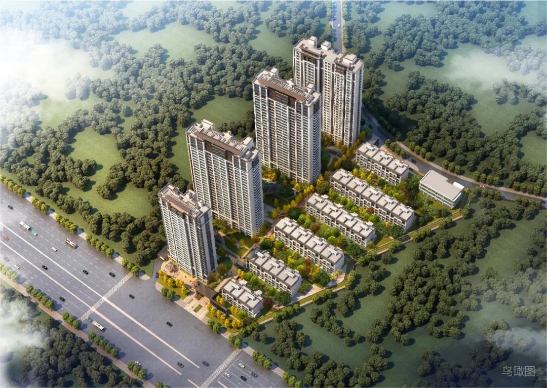 效果图 