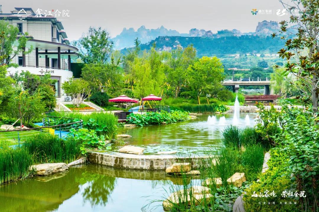 实景图 
