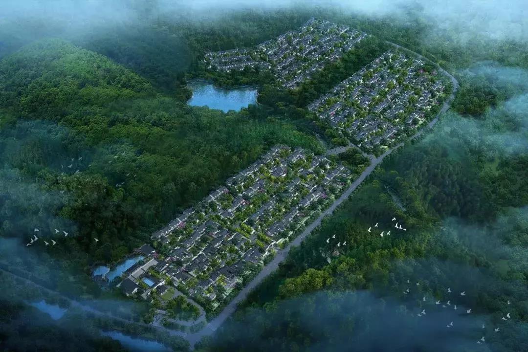 效果图 
