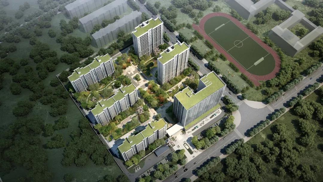 效果图 效果图