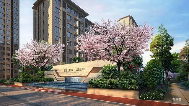效果图 