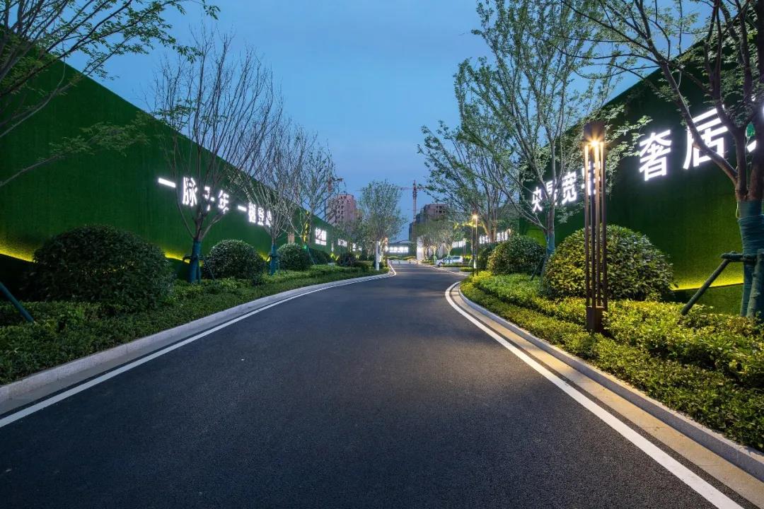 示范区实景 