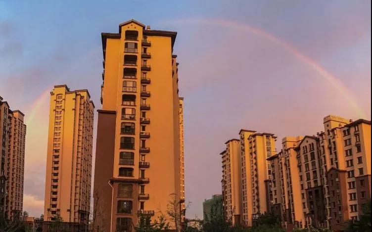 实景图 