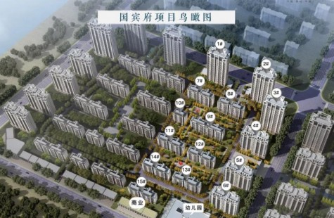 中南国宾府