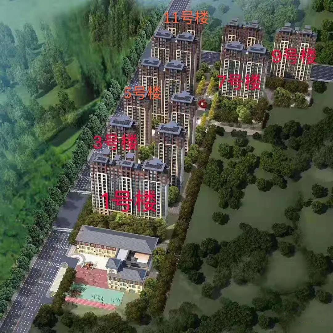 效果图 