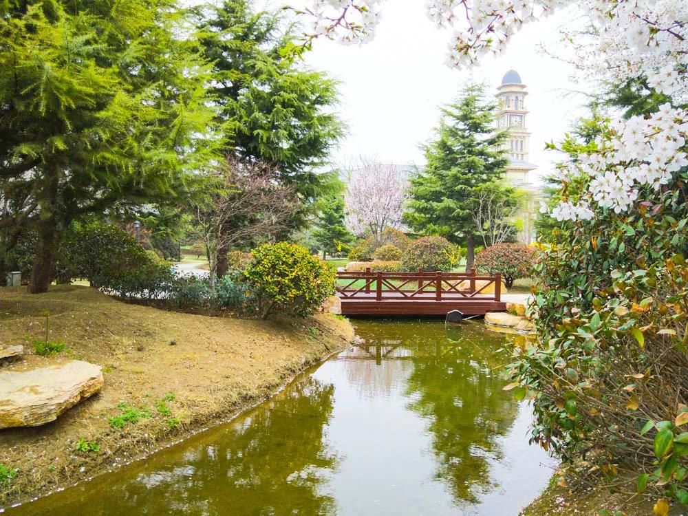 实景图 